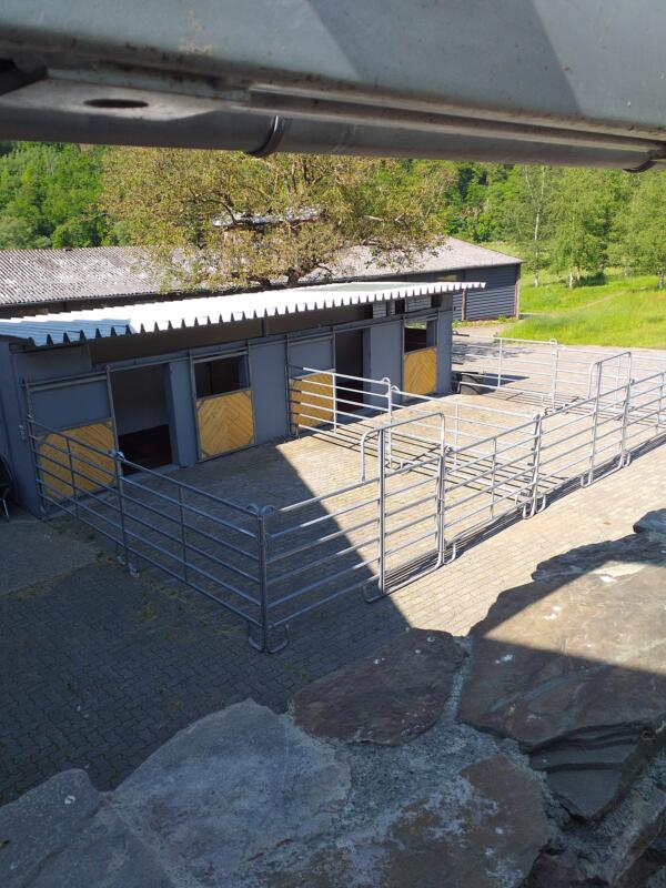 Stall und Boxen